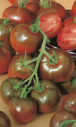 Томат ЧЁРНЫЙ КОТ F1 &mdash; Высокое содержание ликопина! Урожайность до 15 кг.м.кв!