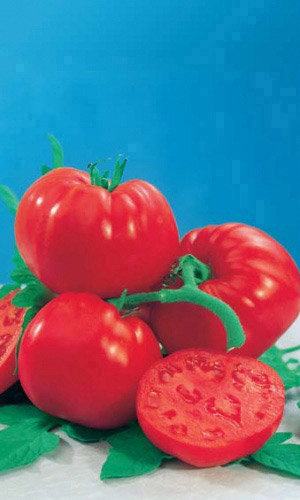 Томат ДИКАЯ РОЗА