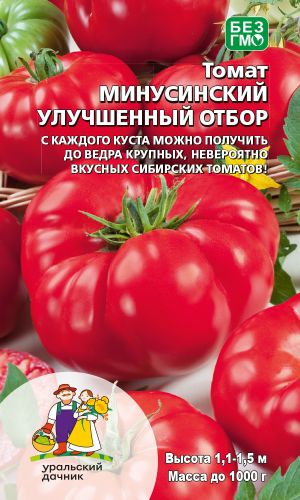 Томат МИНУСИНСКИЙ УЛУЧШЕННЫЙ ОТБОР &mdash; С каждого куста можно получить до ведра крупных, невероятно вкусных томатов!