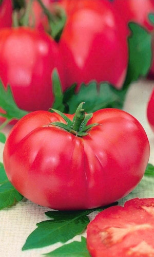 Томат МОНА ЛИЗА F1 &mdash; Необычайно сладкий! Крупноплодный! С нежной, арбузной мякотью! Повышенная устойчивость к болезням!