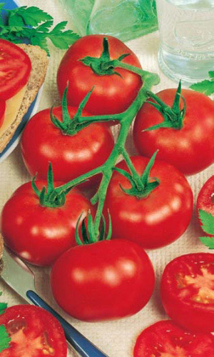 Томат РОК-Н-РОЛЛ F1