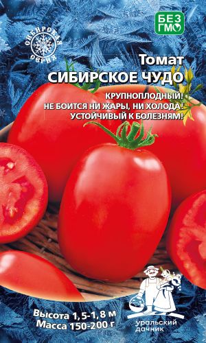 Томат СИБИРСКОЕ ЧУДО &mdash; Крупноплодный! Не боится ни жары, ни холода! Устойчив к болезням!