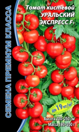 Томат УРАЛЬСКИЙ ЭКСПРЕСС F1