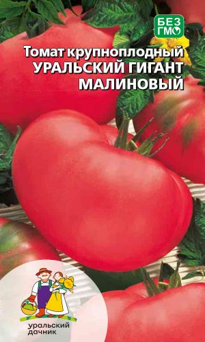 Томат УРАЛЬСКИЙ ГИГАНТ МАЛИНОВЫЙ &mdash; Сладкий! Медовый! Коллекционный!
