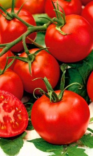 Томат ВОЛГОГРАДСКИЙ 5/95