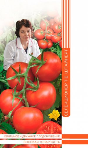 Томат ЗУРБАГАН F1 коллекция Татьяны Штайнерт &mdash; гибрид мечты любого огородника! Снизу доверху увешан плотными кистями обворожительных по вкусу плодов!