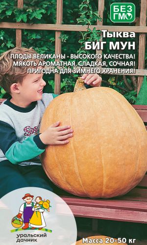 Тыква БИГ МУН