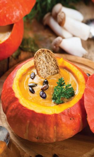 Тыква РУССКИЙ ДЕЛИКАТЕС