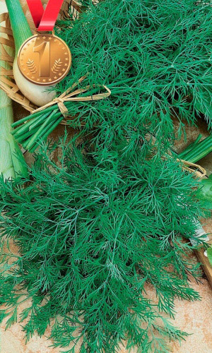 Укроп ПОБЕДИТЕЛЬ ДАЧНИКА