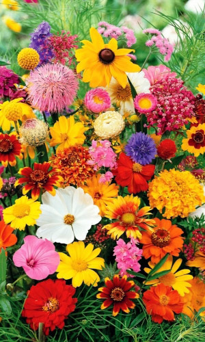 ДОБРАЯ ПАМЯТЬ в солнечных местах