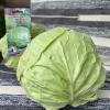 Капуста БРАТ С СЕВЕРА
